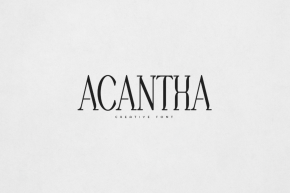 Acantha Font: Elegant Serif Typography for Makers