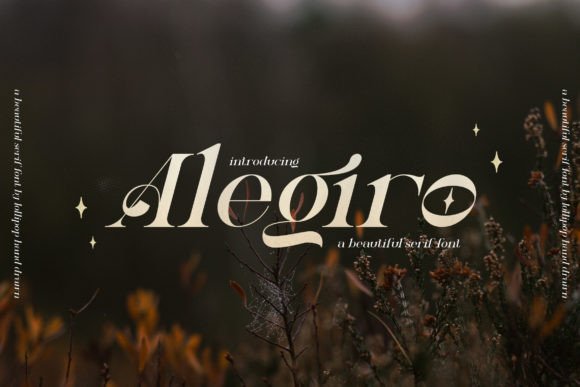 Alegiro Font: Elevating Digital Brand Identity