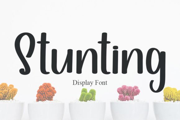 Stunting Font Review: Elevating Small Business Branding